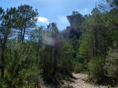 Hoz del Río Escabas - Serranía de Cuenca (Senderismo refrescante);excursion sierra madrid rutas de